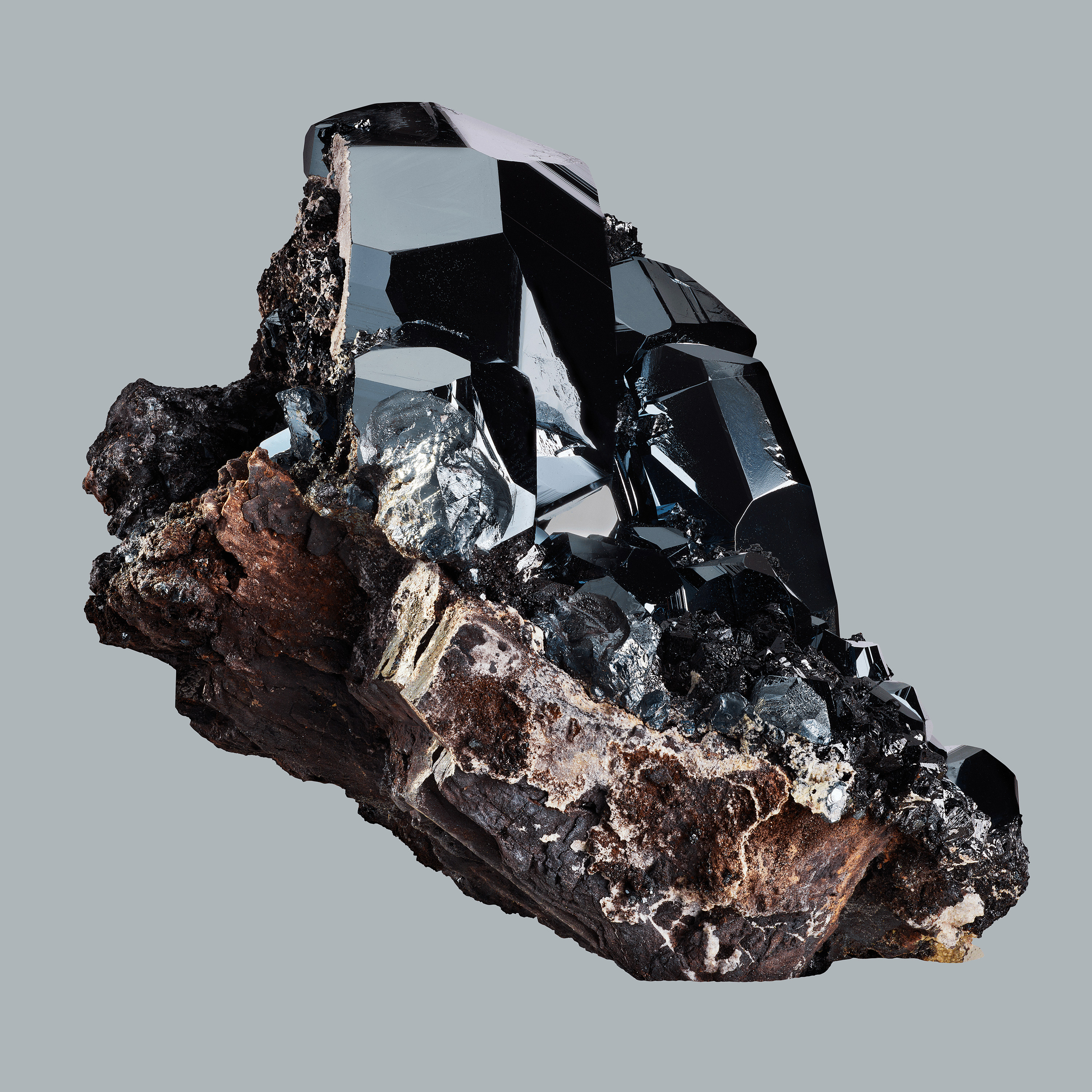 Andrew Zuckerman - Crystal - 8