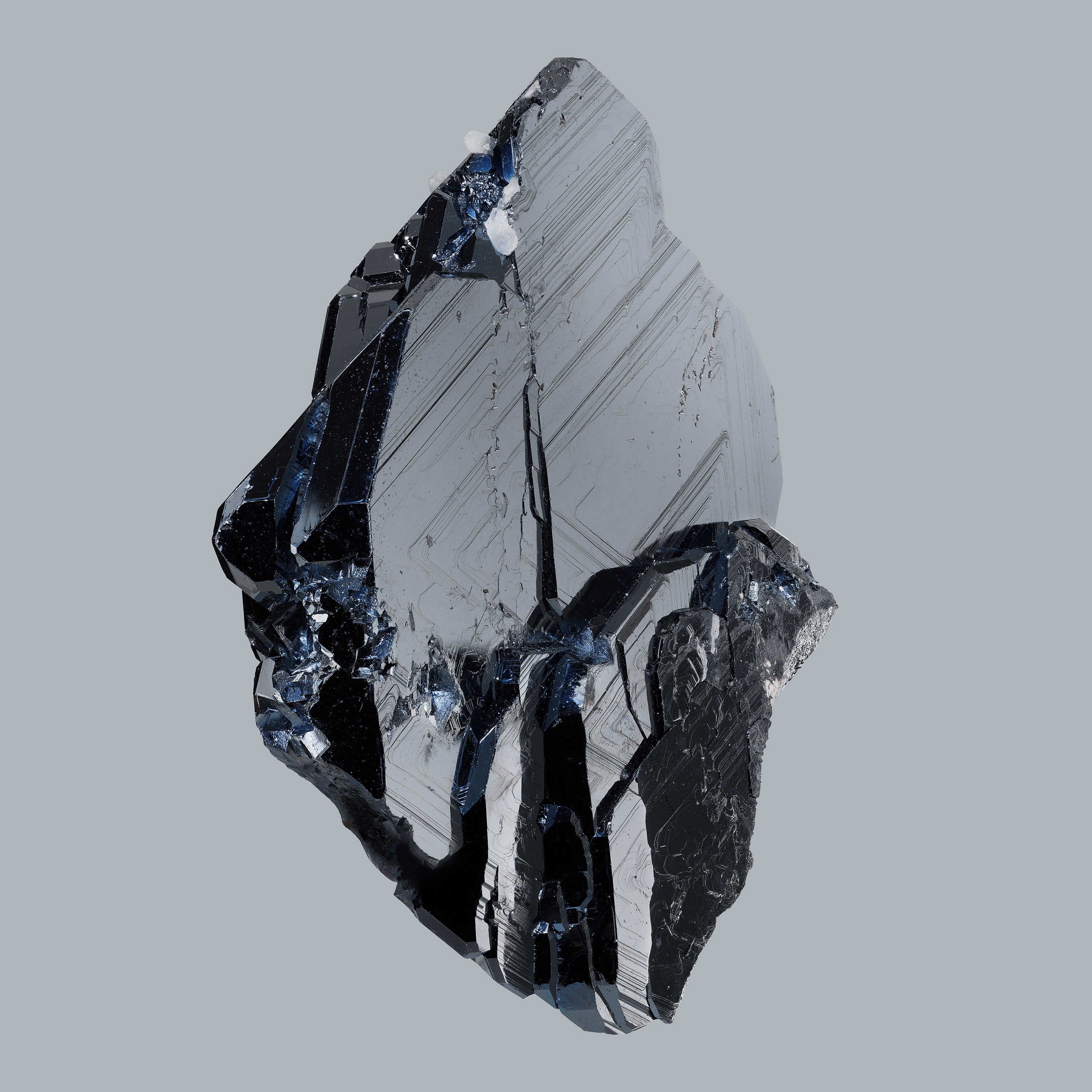 Andrew Zuckerman - Crystal - 22