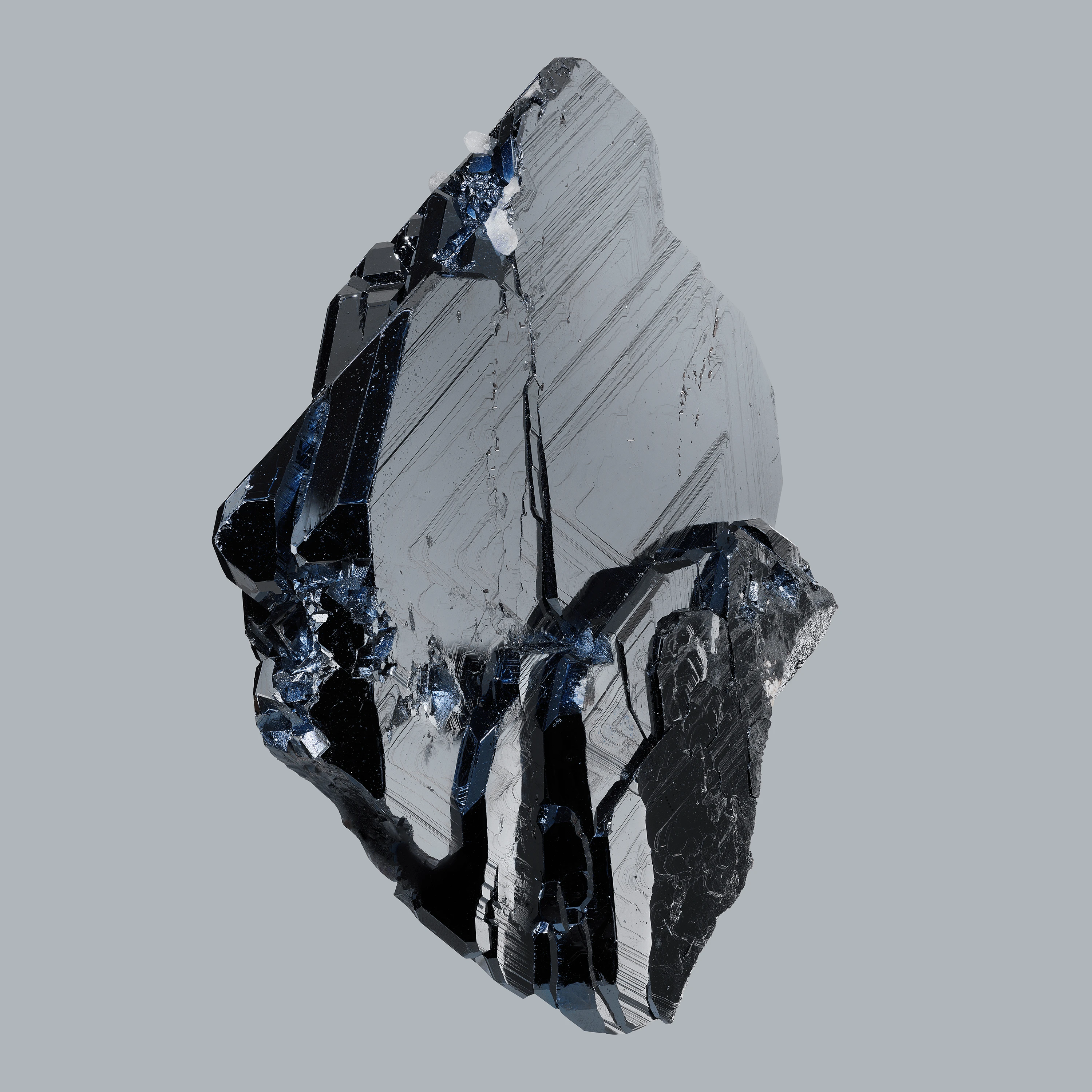 Andrew Zuckerman - Crystal - 22