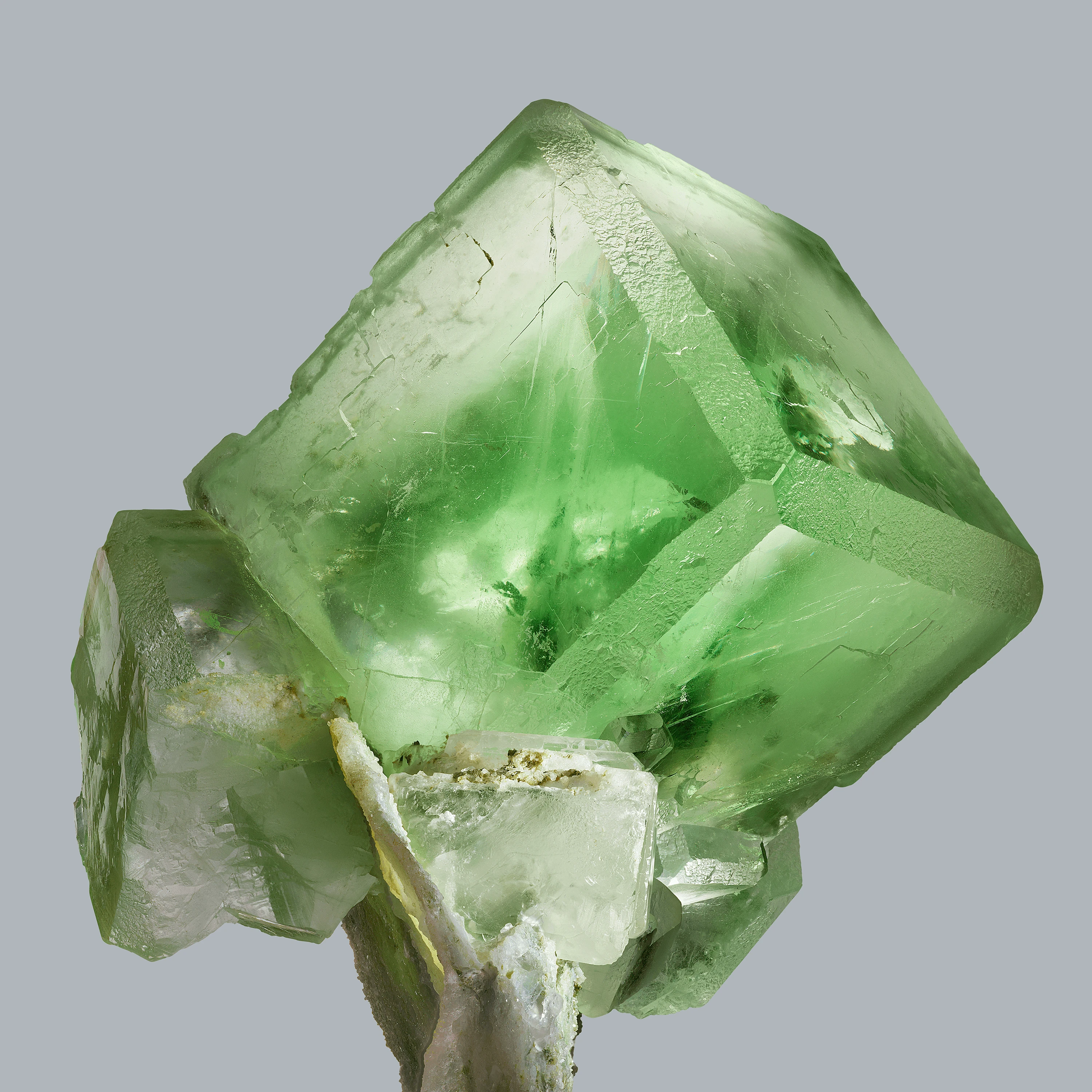 Andrew Zuckerman - Crystal - 17