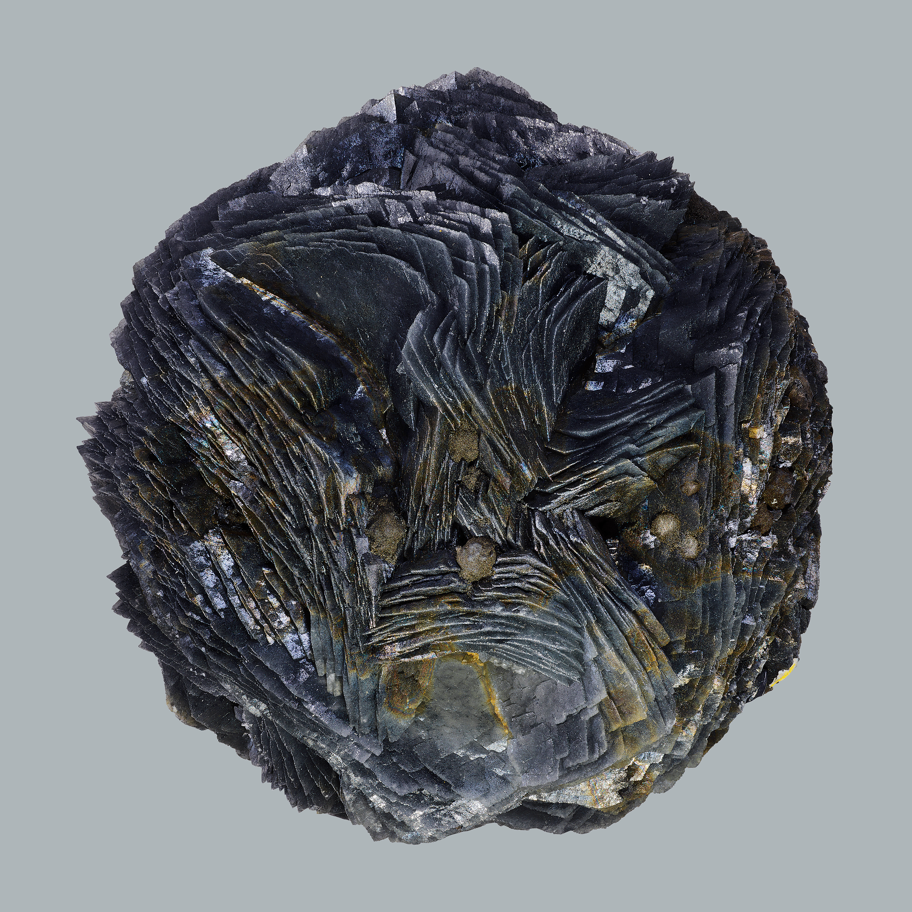 Andrew Zuckerman - Crystal - 9