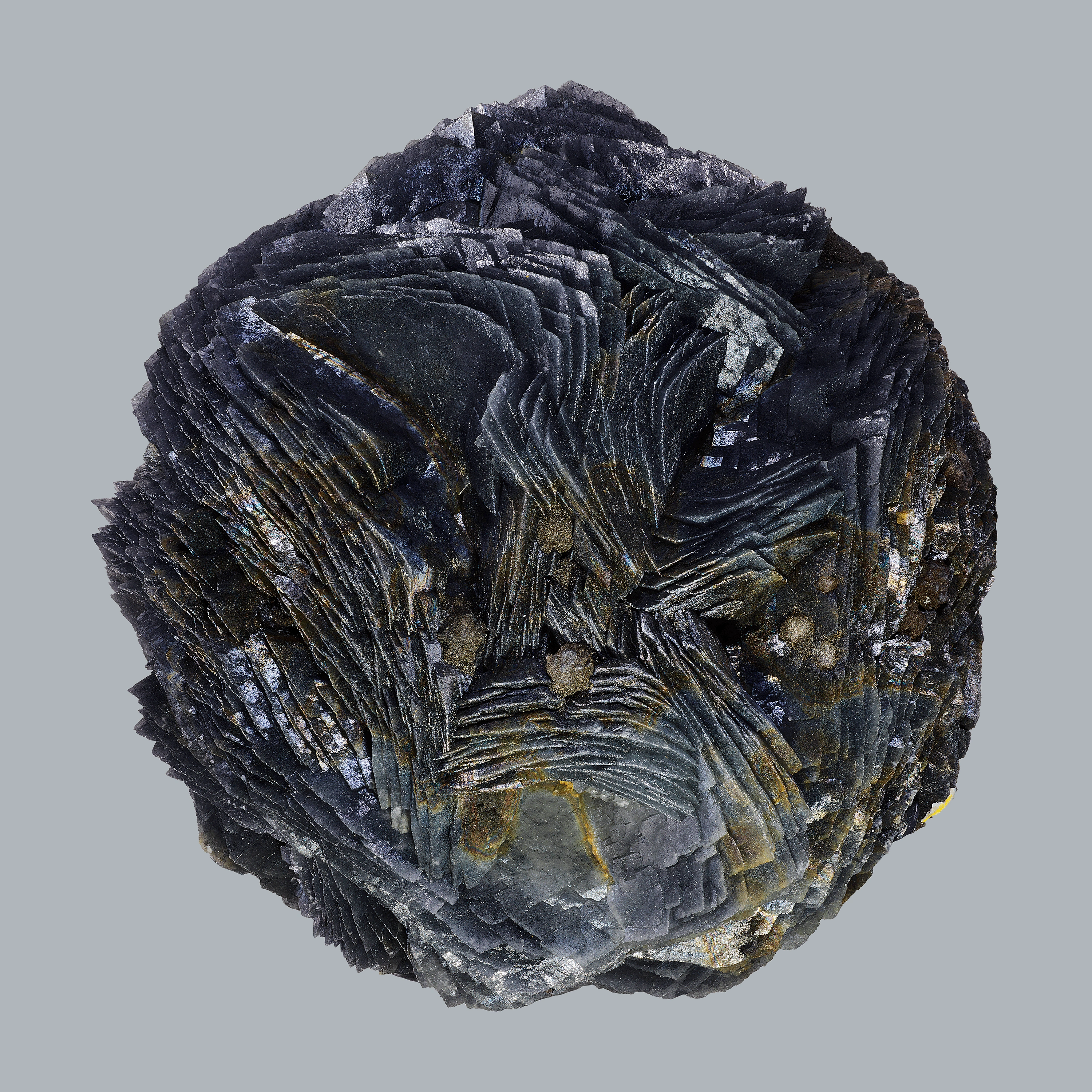 Andrew Zuckerman - Crystal - 9