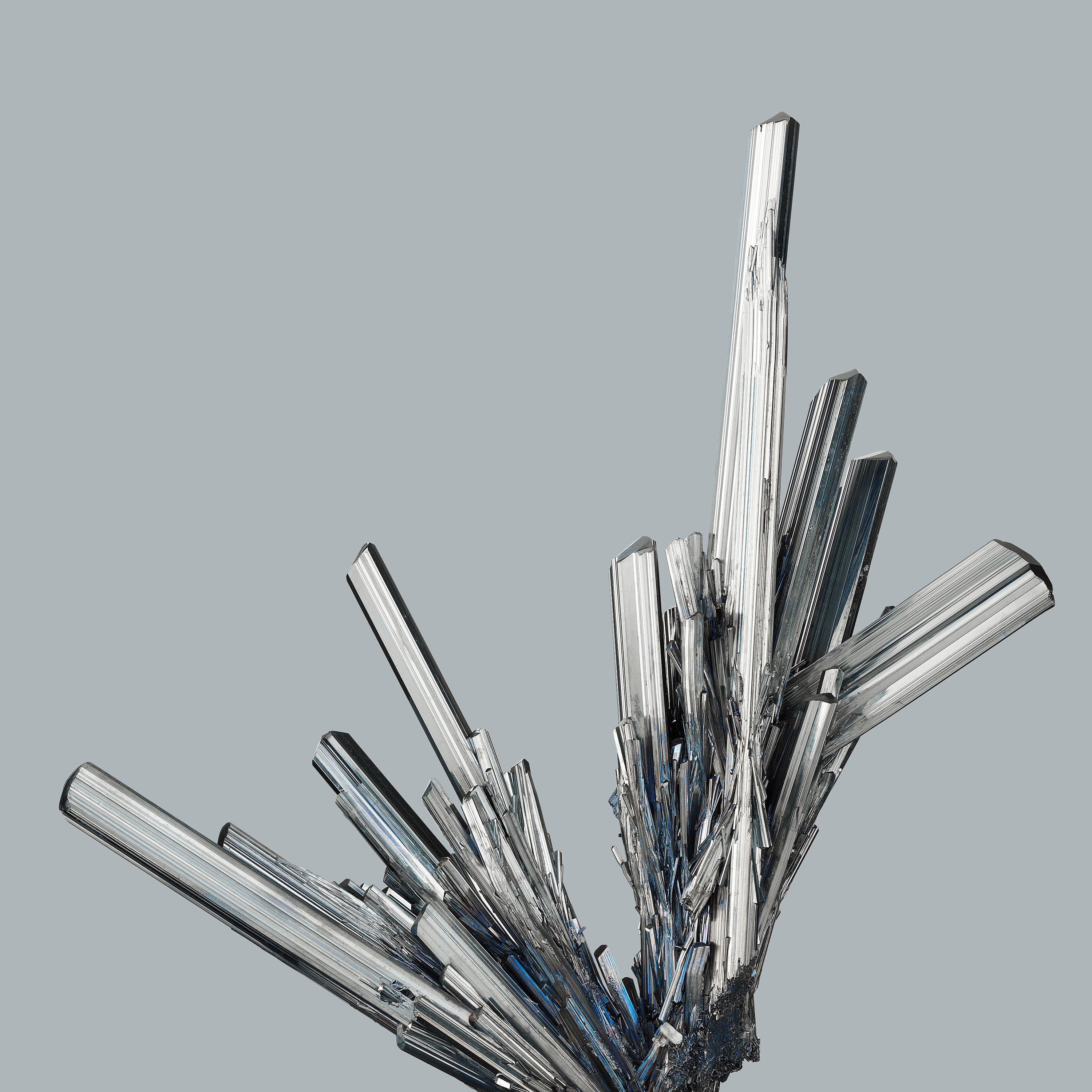 Andrew Zuckerman - Crystal - 21