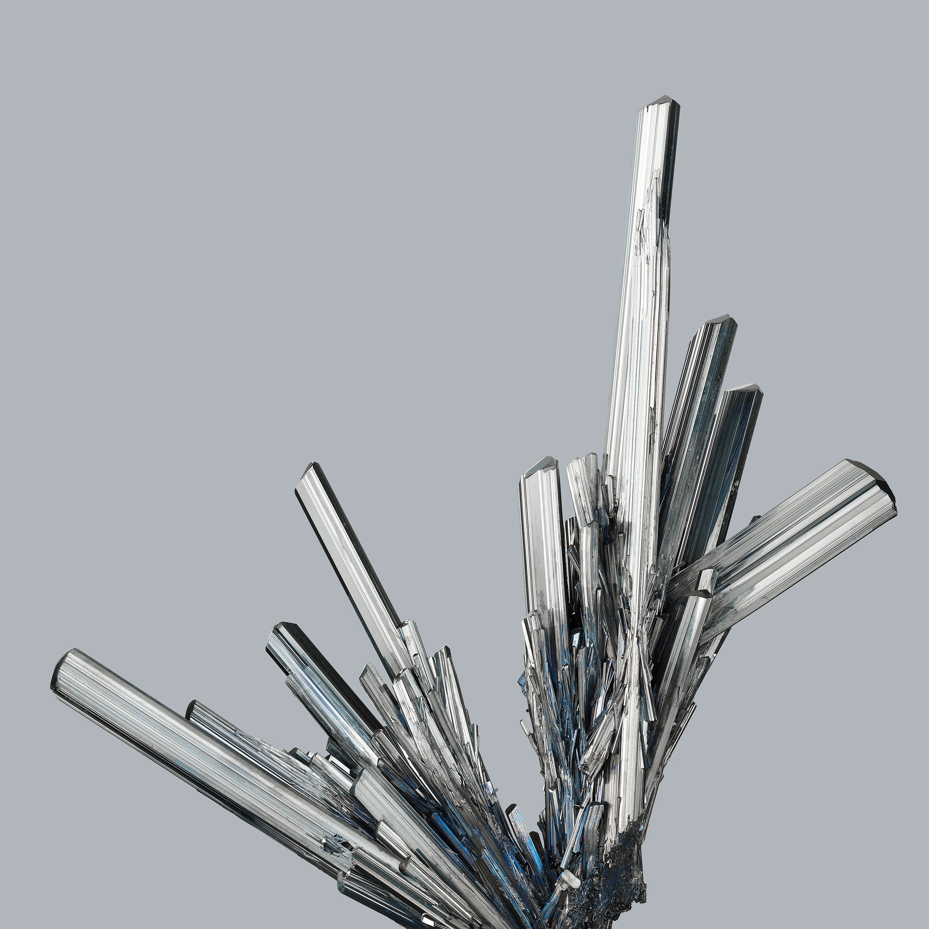 Andrew Zuckerman - Crystal - 21