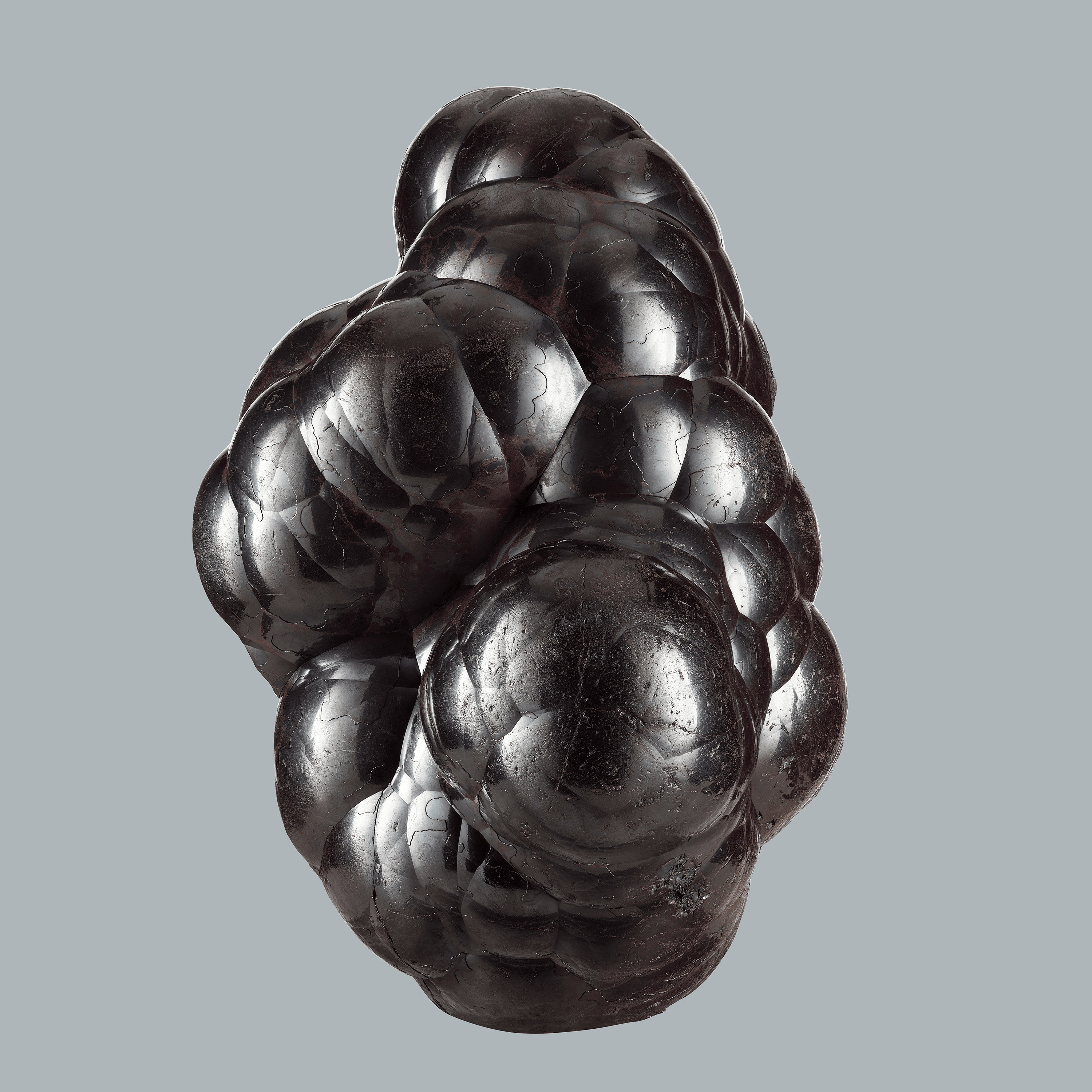 Andrew Zuckerman - Crystal - 3