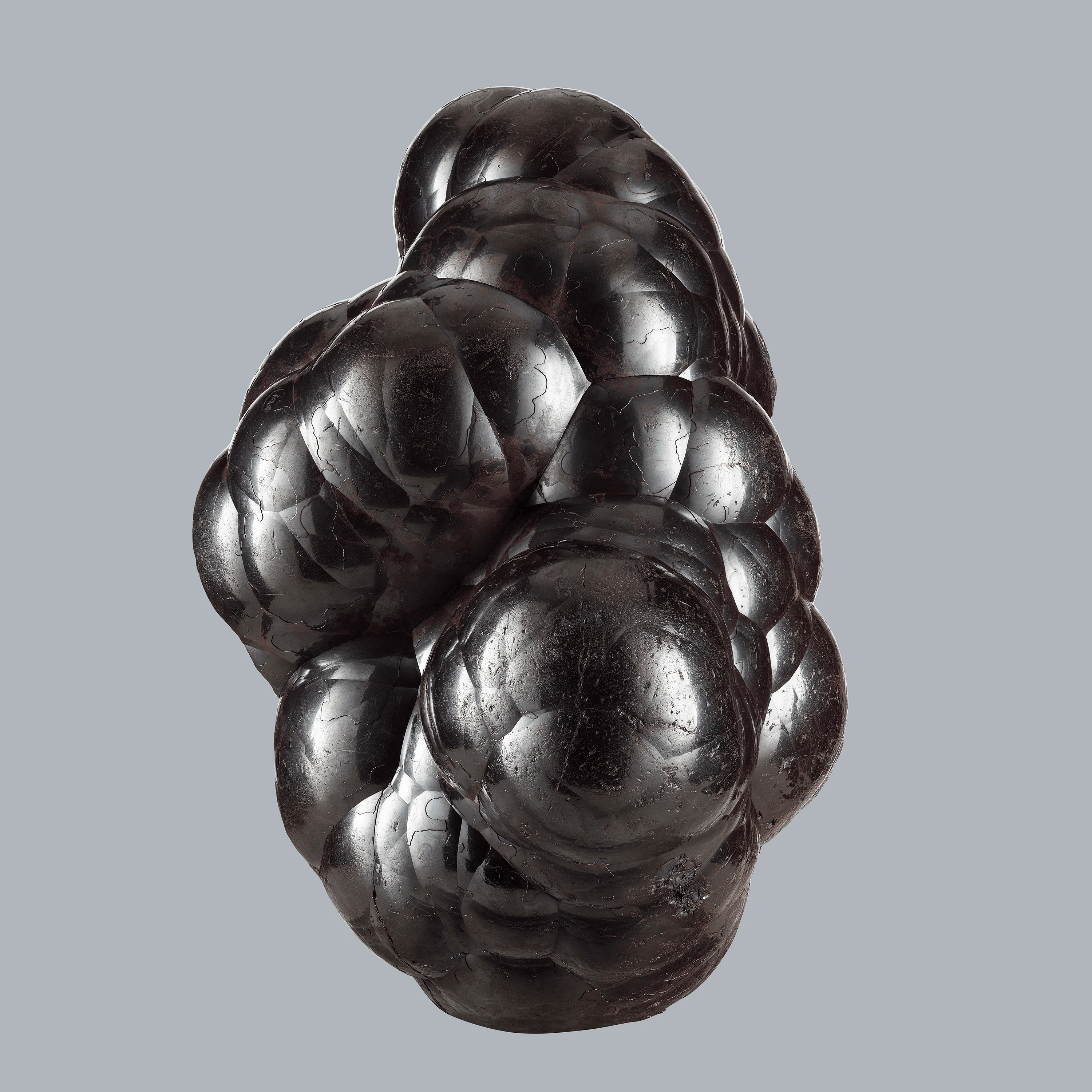 Andrew Zuckerman - Crystal - 3