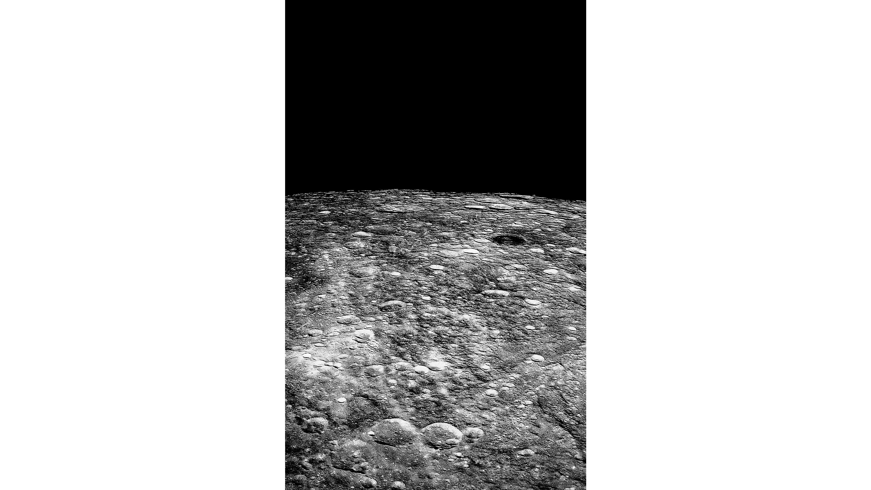 Andrew Zuckerman - Moon - 16