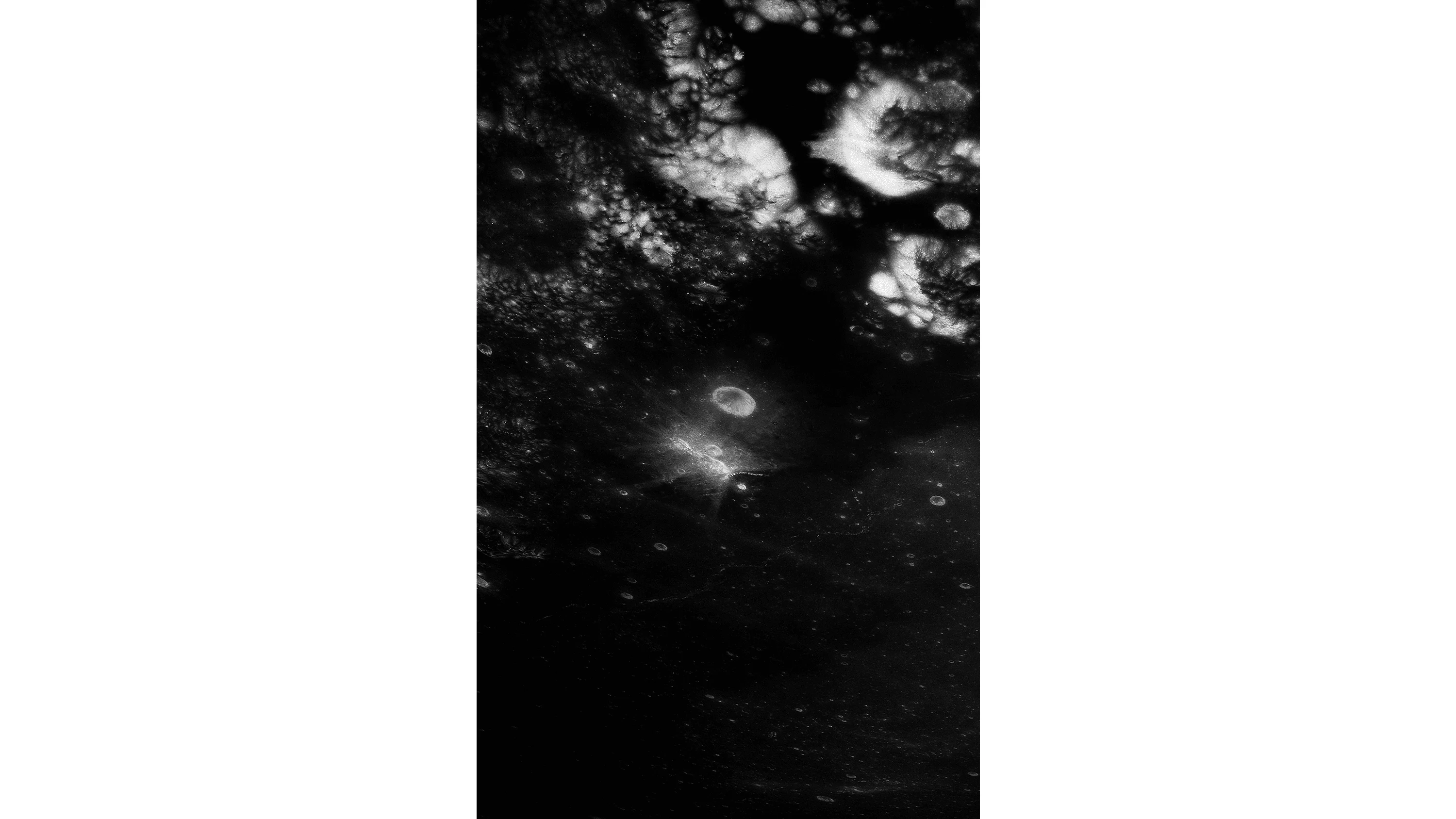 Andrew Zuckerman - Moon - 14