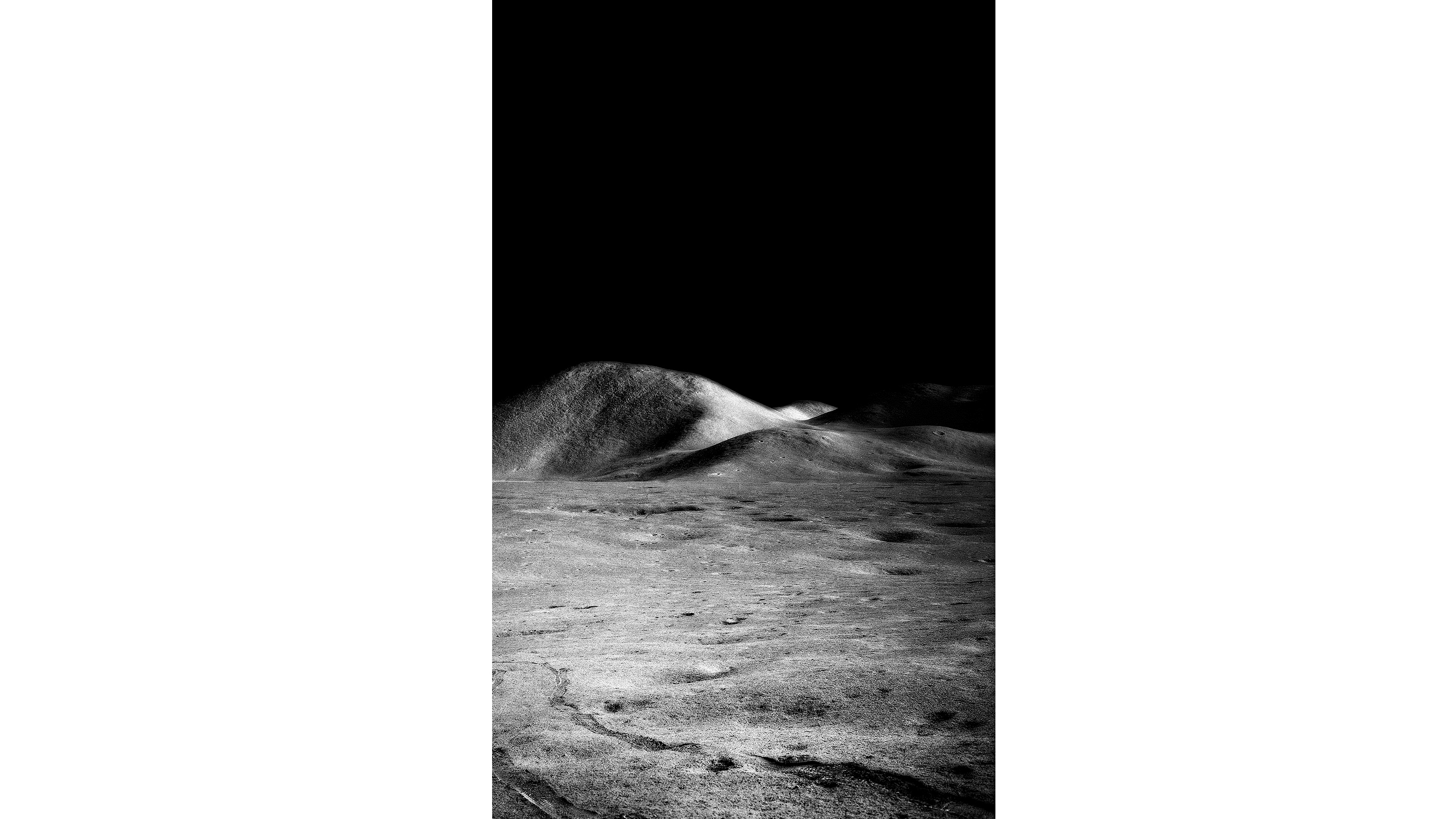 Andrew Zuckerman - Moon - 13