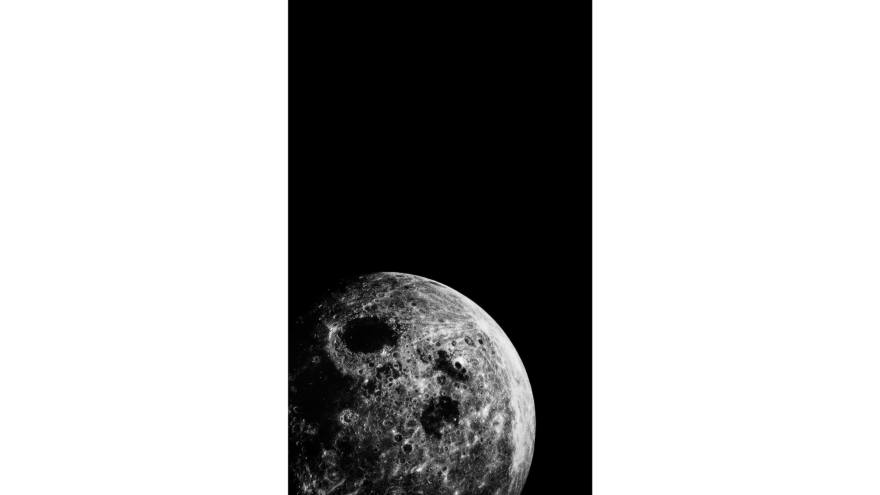 Andrew Zuckerman - Moon - 21