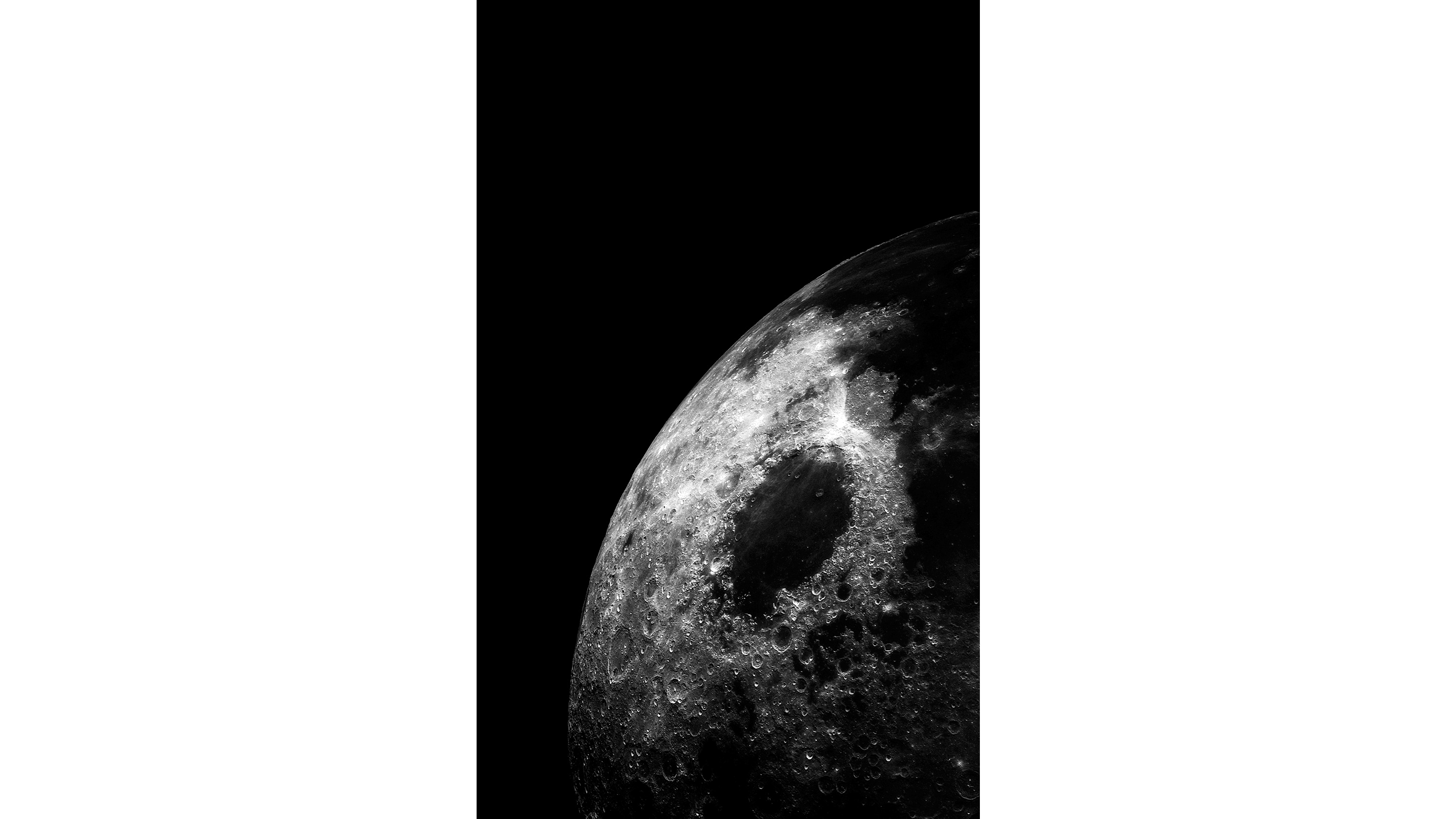 Andrew Zuckerman - Moon - 20