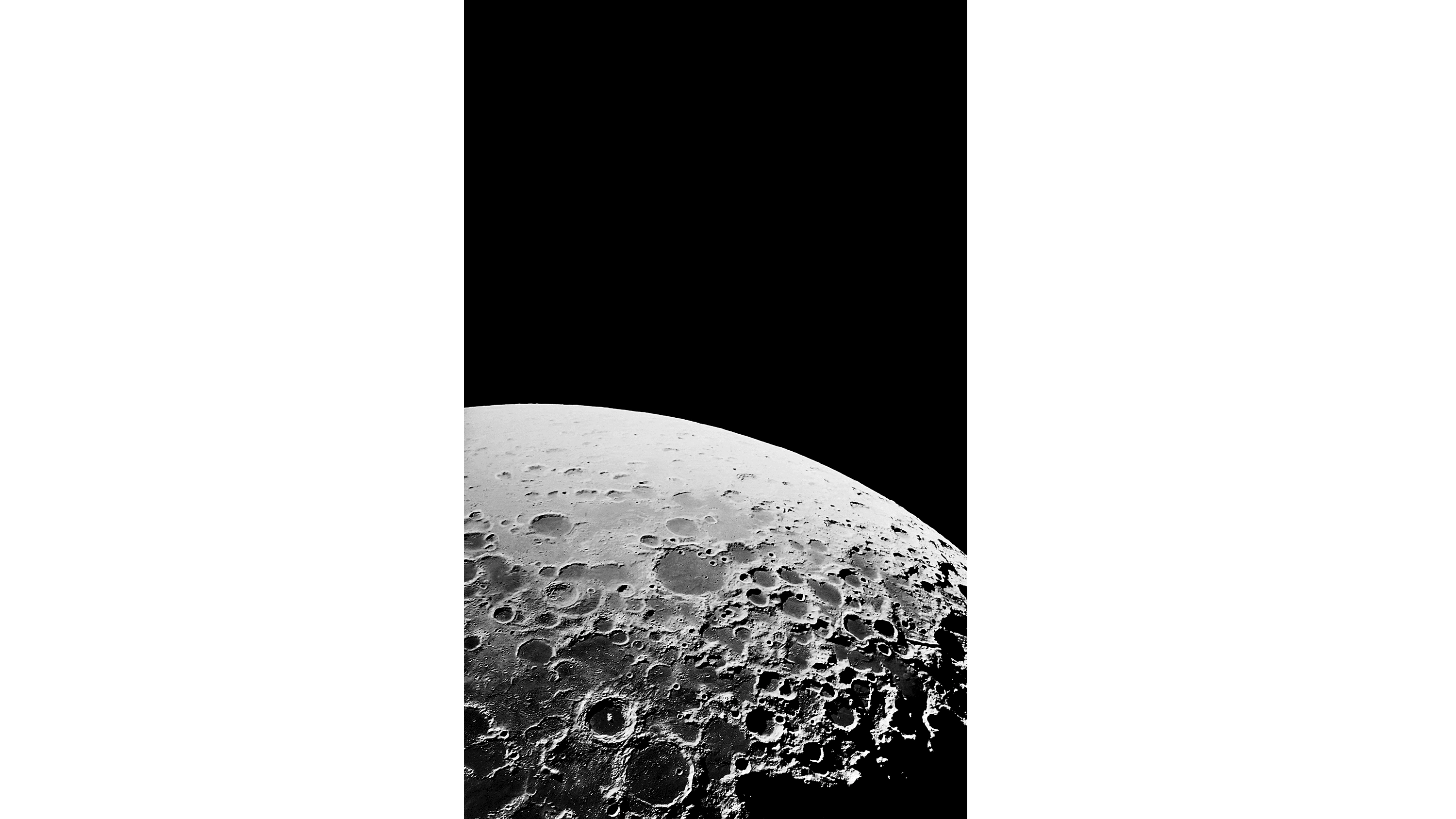 Andrew Zuckerman - Moon - 19