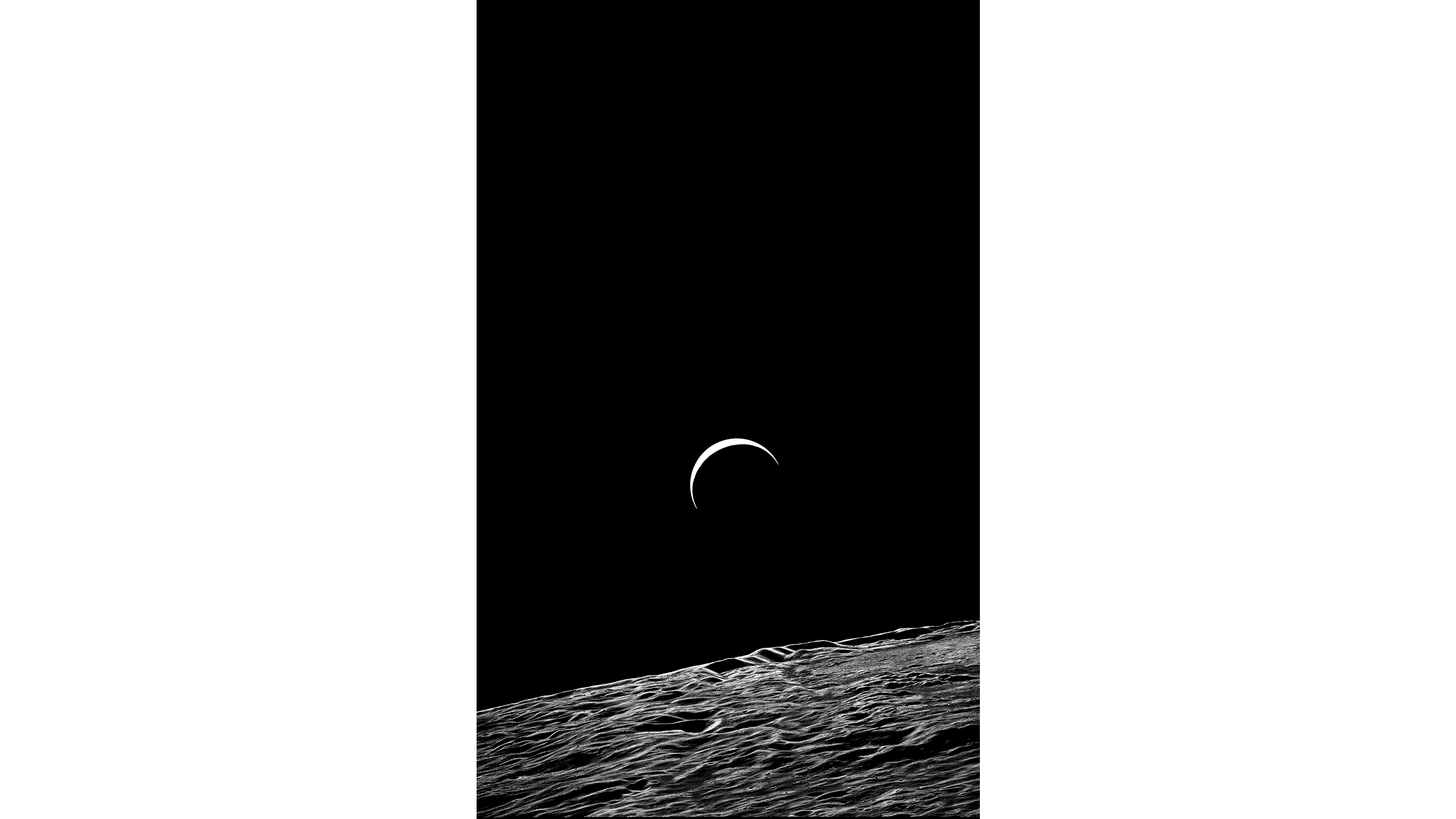 Andrew Zuckerman - Moon - 23