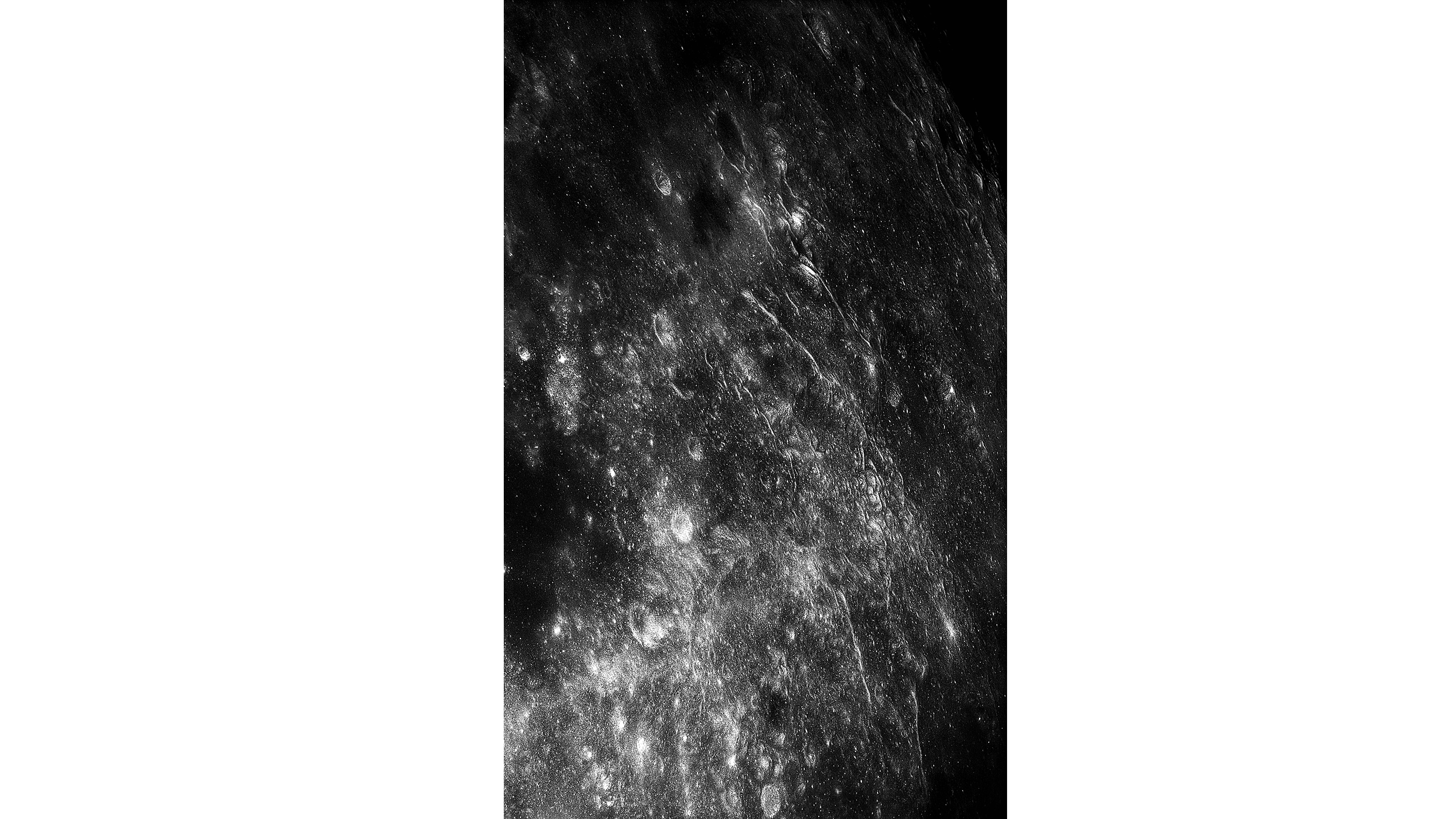 Andrew Zuckerman - Moon - 15
