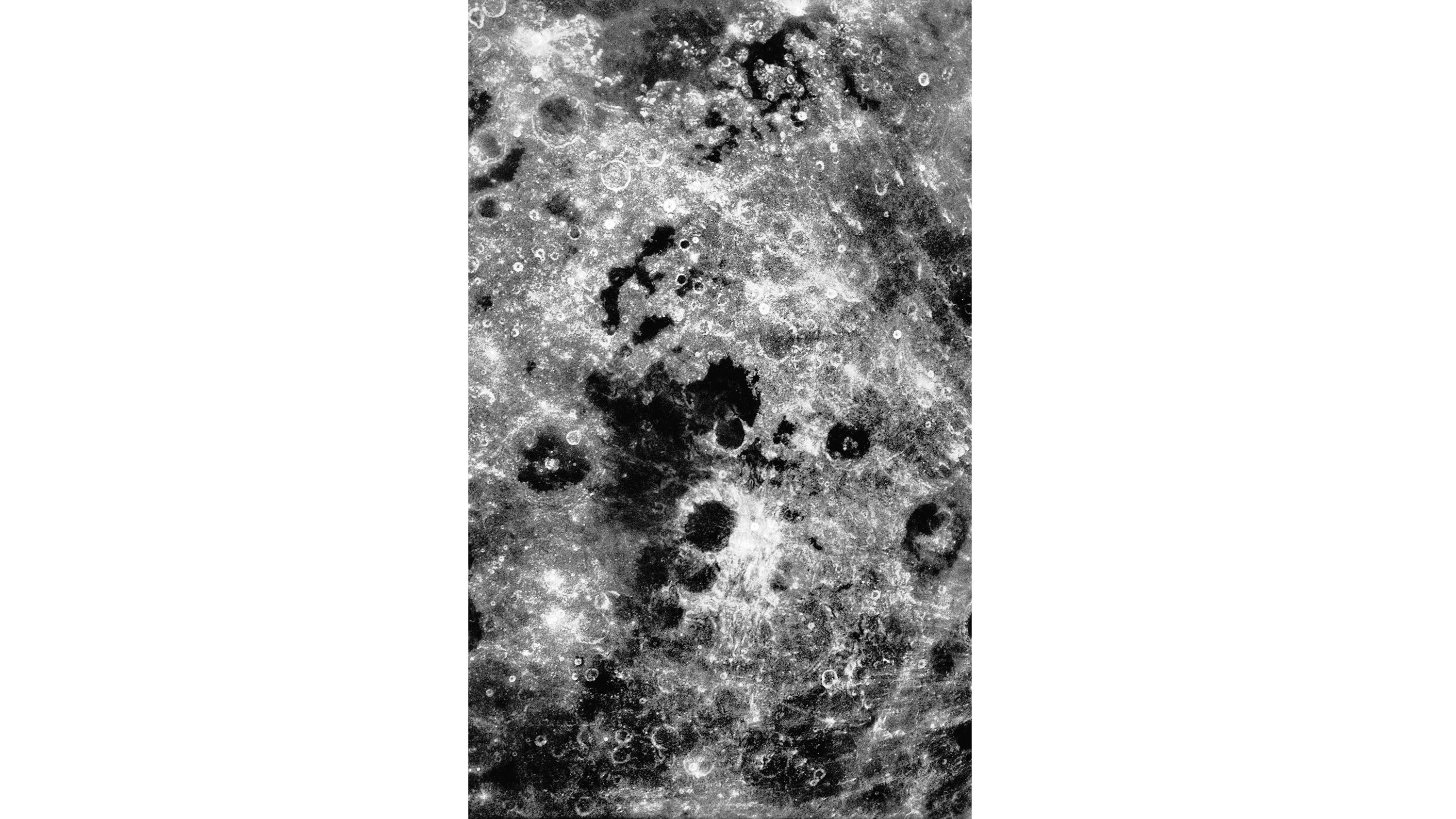 Andrew Zuckerman - Moon - 11