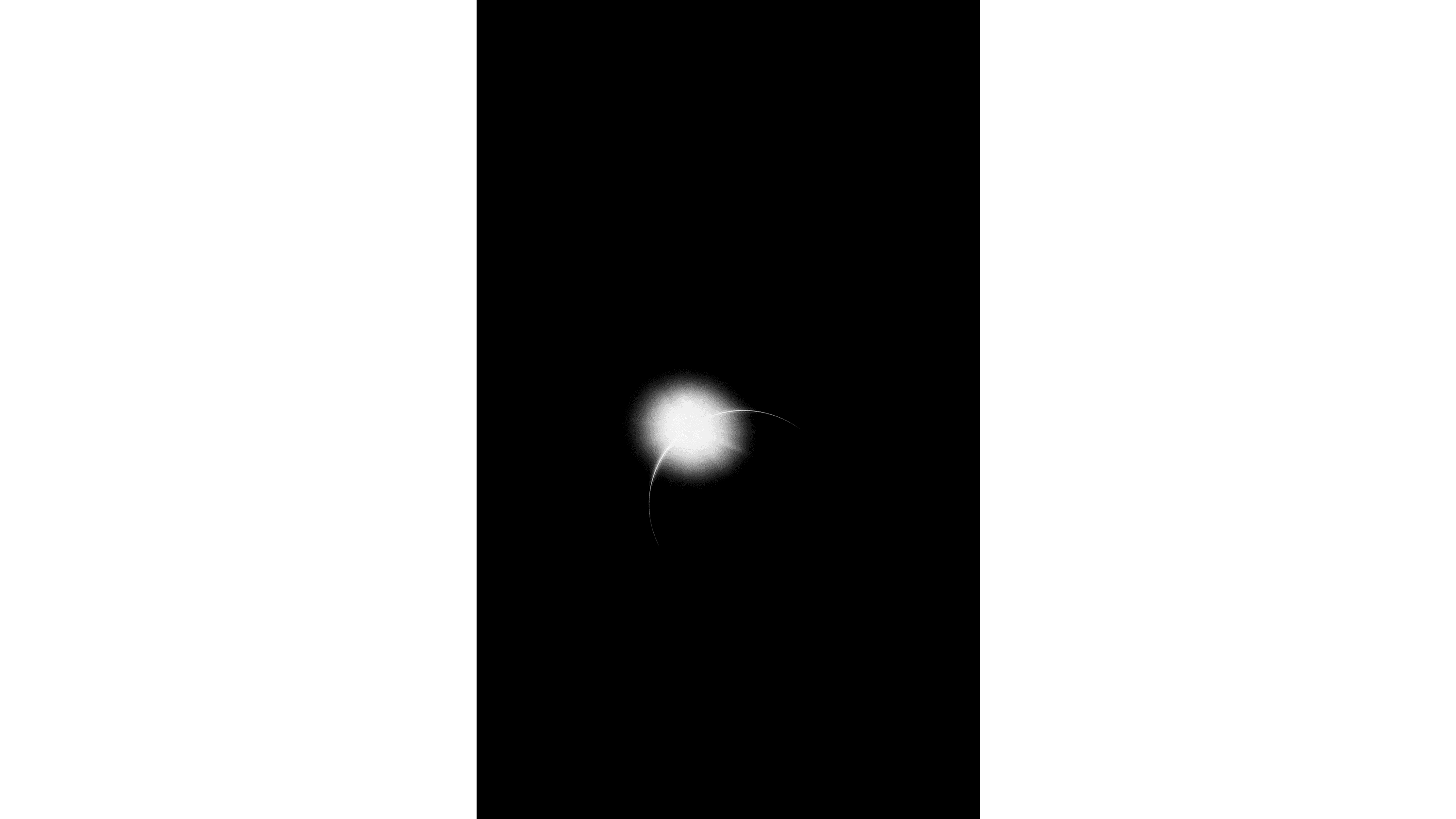Andrew Zuckerman - Moon - 22