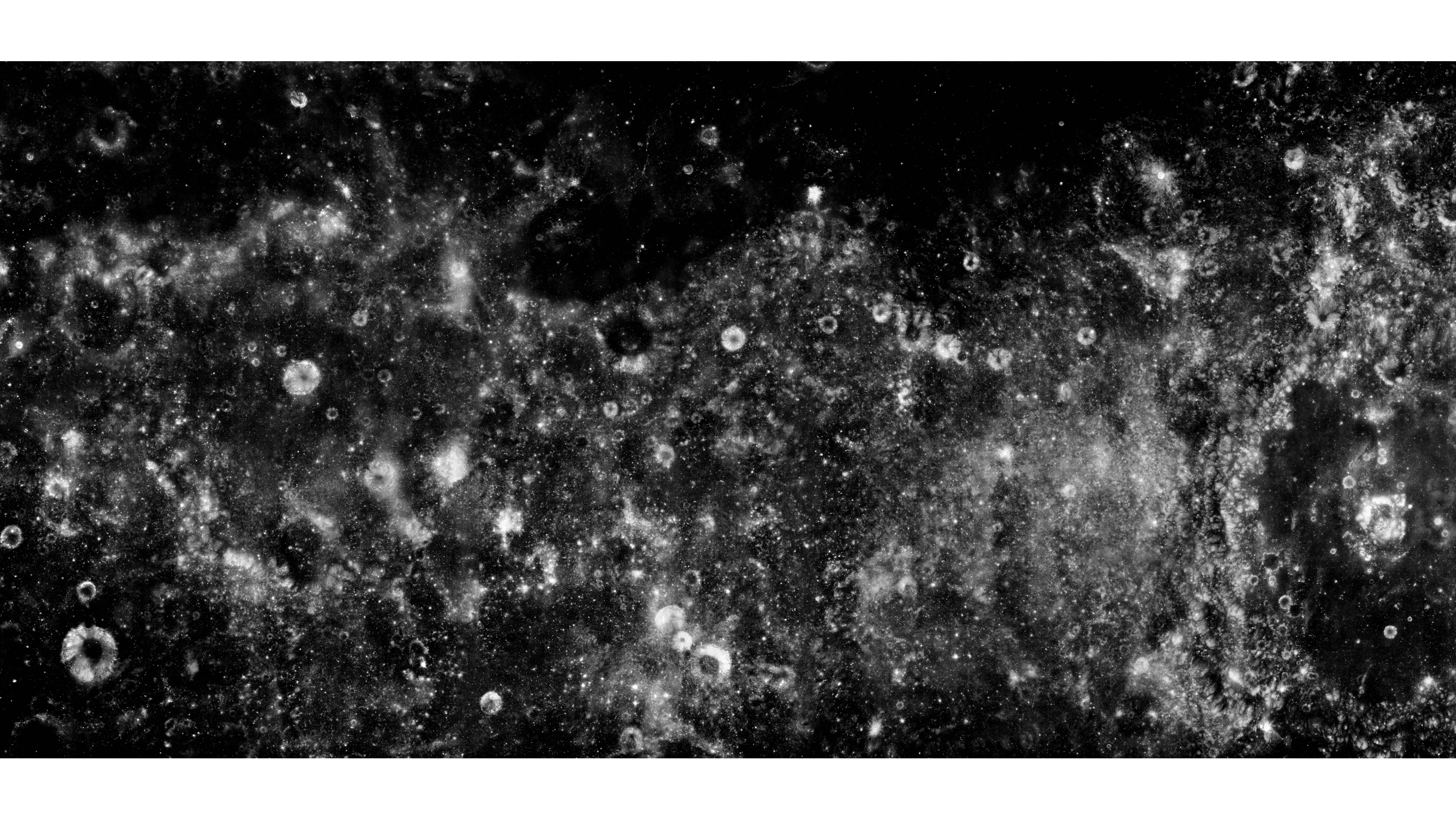 Andrew Zuckerman - Moon - 7