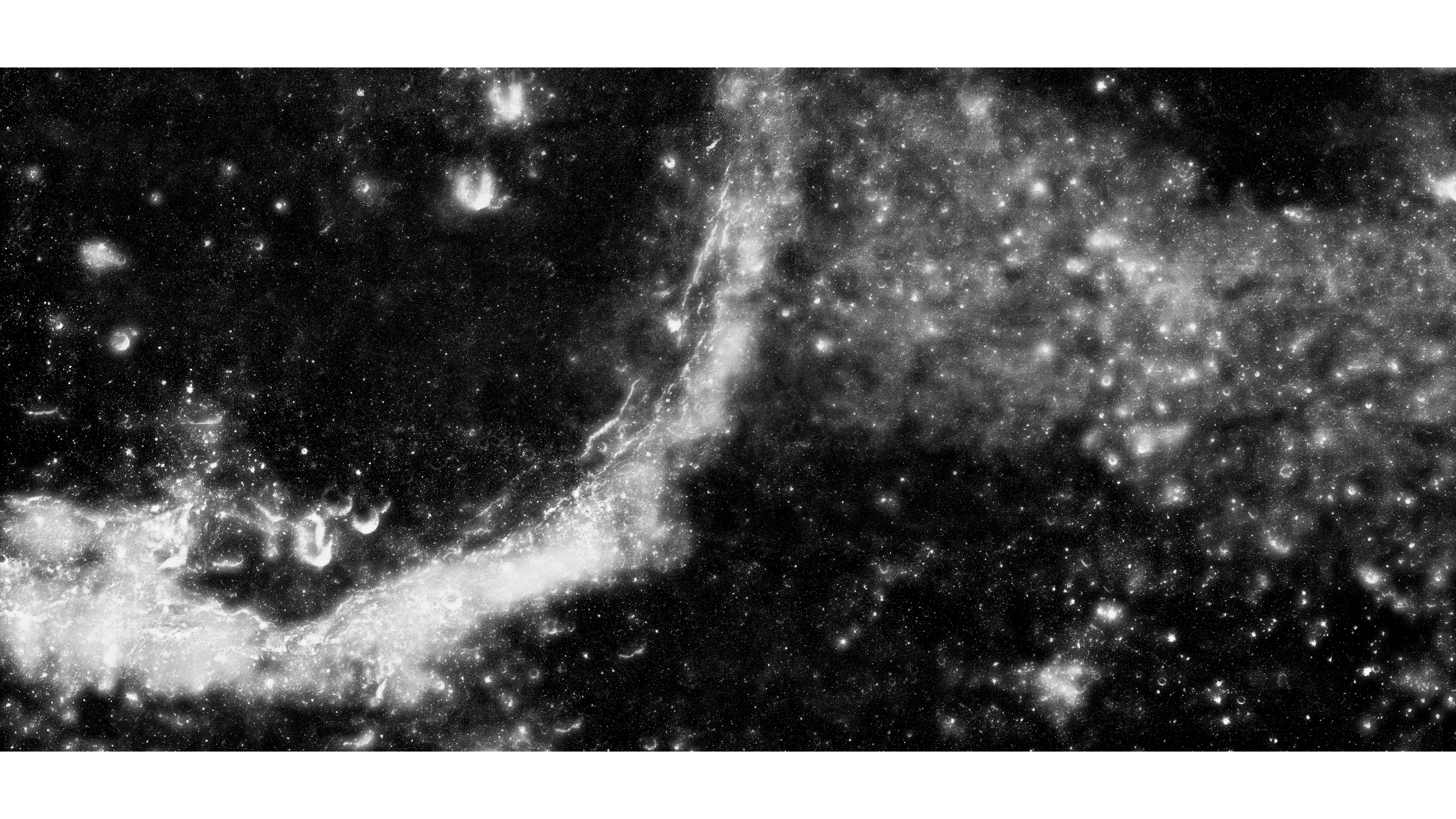Andrew Zuckerman - Moon - 4