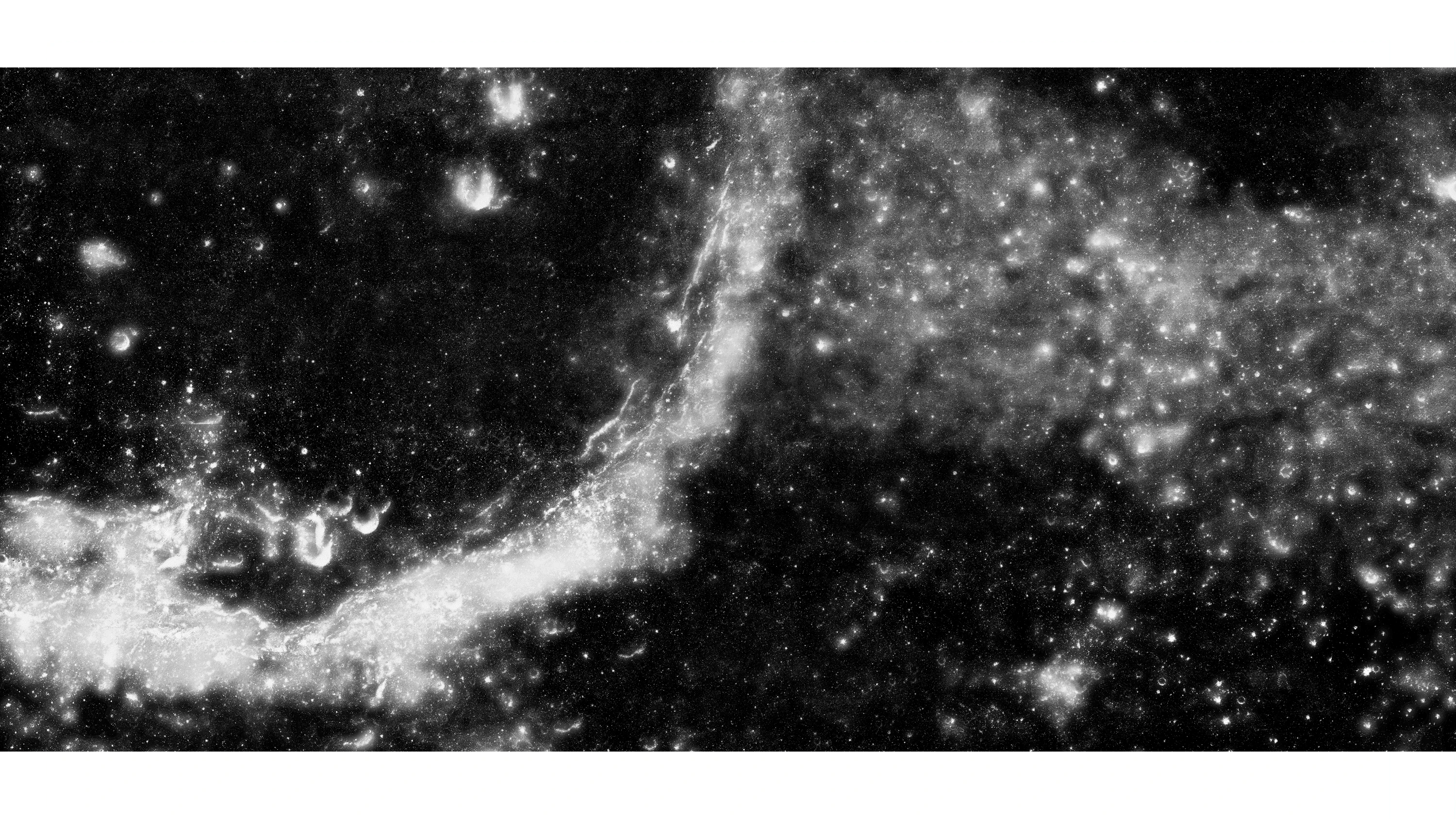 Andrew Zuckerman - Moon - 4