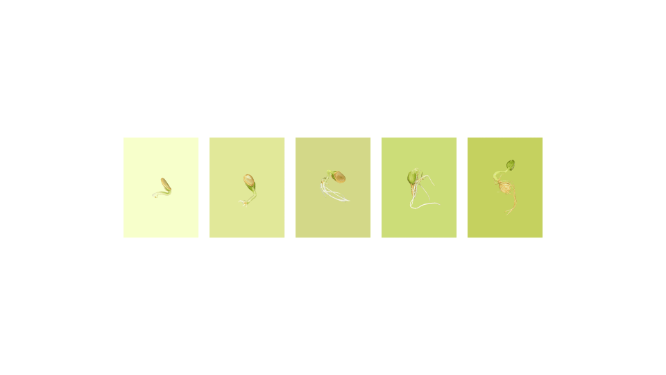 Andrew Zuckerman - Seed - 19
